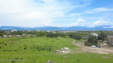 Lote Isla Cedro