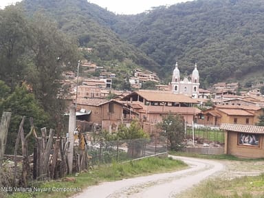 Lote Navidad