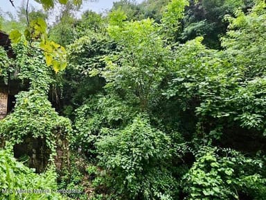 Terreno Mirador