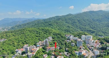 Lote 7, 5 de diciembre