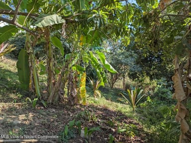 Lote Libertad