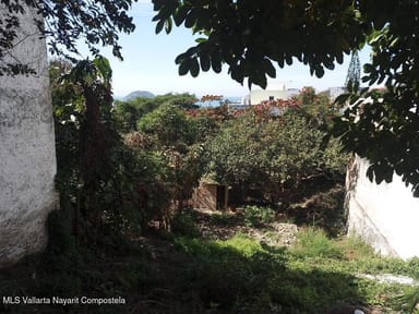 Lote Atlantico