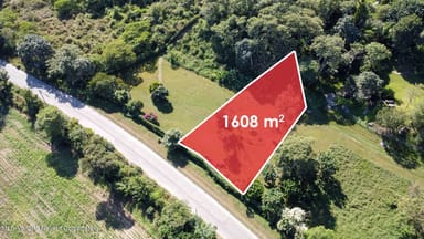 Lot 20 Jengibre Rojo