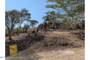 Lote Caballo