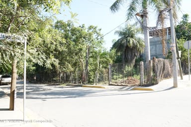 Lote Amado
