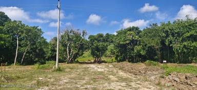 La Figuera 1