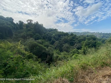 Lot 6 Ihana