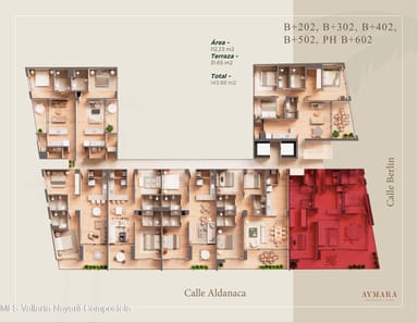 Aymara B+302