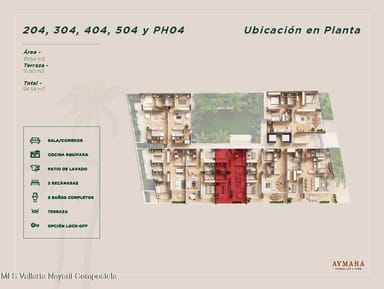 Aymara B404