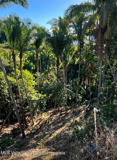 RESIDENCIAL SELVA AZUL LOTE 8