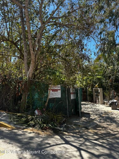 Lot Calle Pakistan 11
