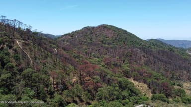Lote Sendero Nogalito
