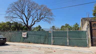 Terreno Mangal