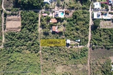 LOTE 8