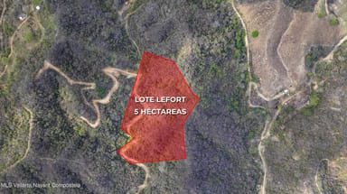 Lote Lefort