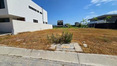 LOTE 75PALMA DEL REY