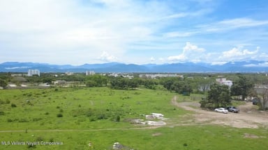 Lote Isla Cedro