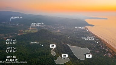 Selva Azul Lote #2