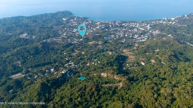 Jungle Creek Lot