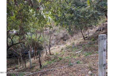 Lote Luciernaga 2