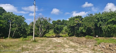 La Figuera 1