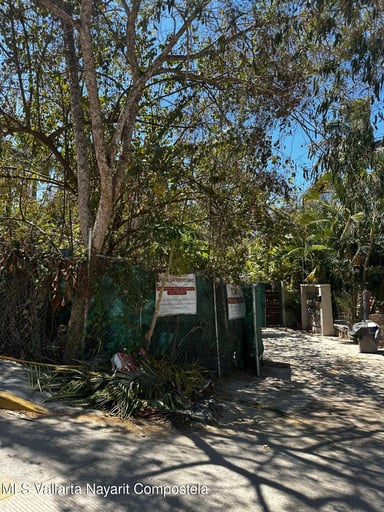 Lot Calle Pakistan 11