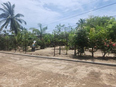 Terreno