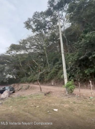 PLATANITOS