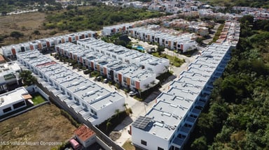 REAL FLAMINGOS VENTO