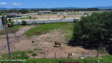 Lote Jarretaderas