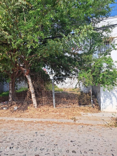 Lote Univa