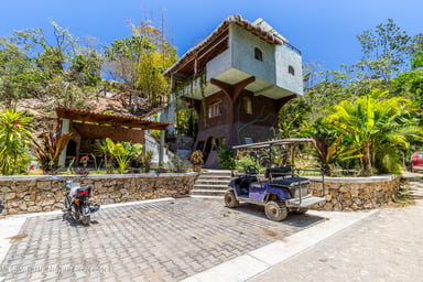 Casa Arbol