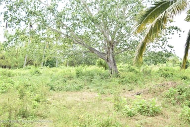 Ex Hacienda del Coapinole