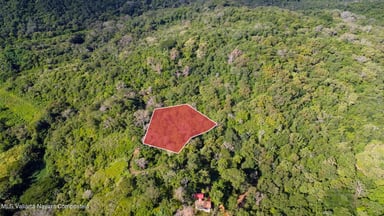 Lote Gardenia 9