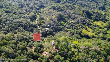Lote Almendro 13